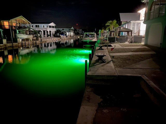 Seavision DV59 RGB LED Underwater Dock Light Whiteinstalled in marina